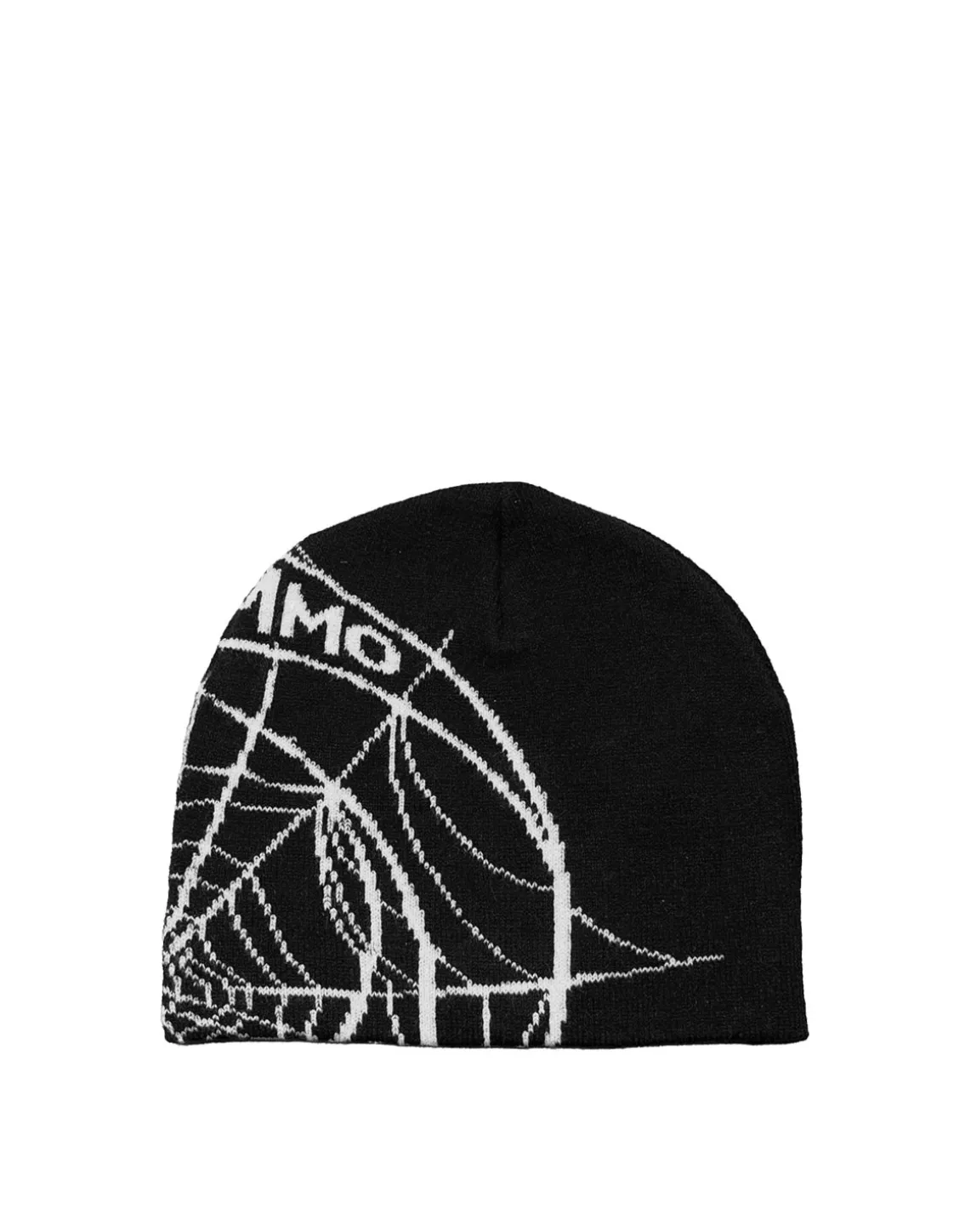 Spiderweb Skully Beanie
